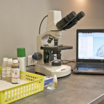 laboratorium - mikroskop z kamerą USB i podglądem na żywo, zestaw barwników hematologicznych, odzczynniki do badania krwi, moczu i kału